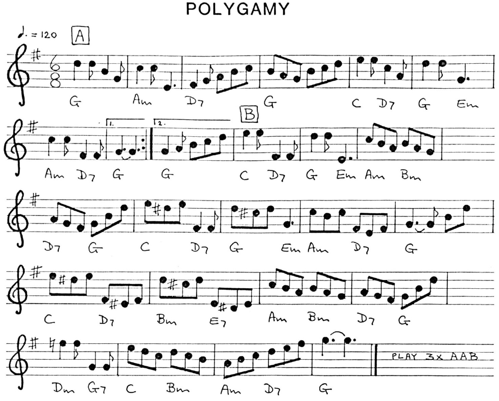Polygamy